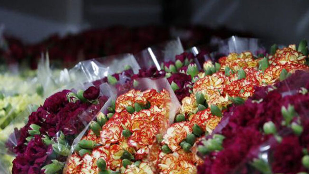 Süs bitkileri ihracatı 100 milyon dolara ulaştı