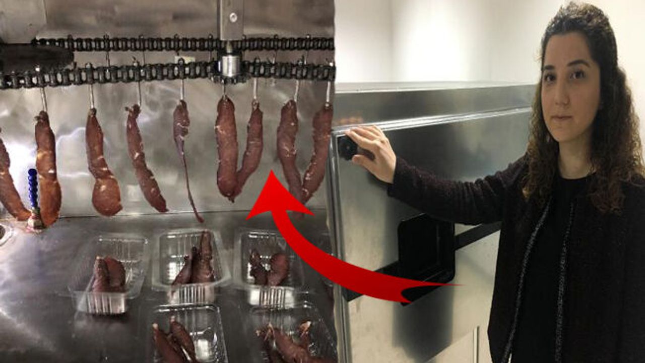 Geliştirdiği cihazla 3 aya kadar dayanabilen kurutulmuş et elde etti