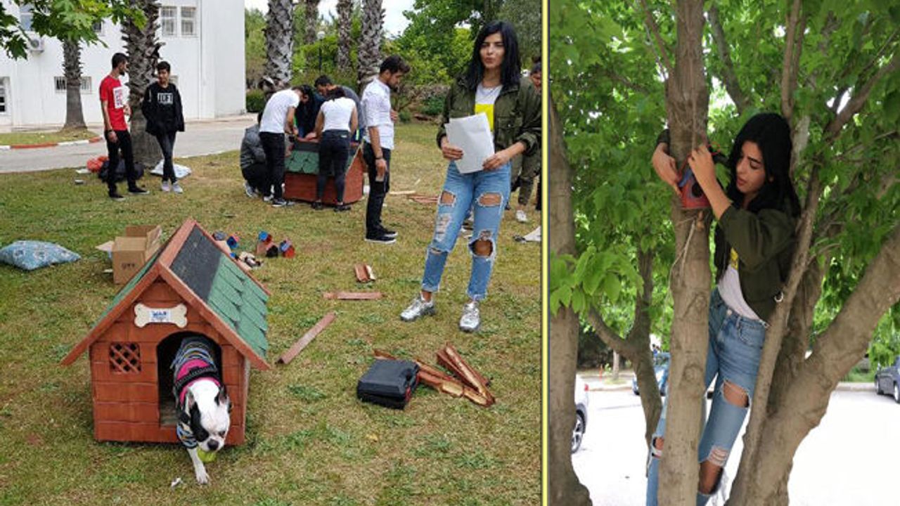Üniversitelilerden  hayvan seferberliği