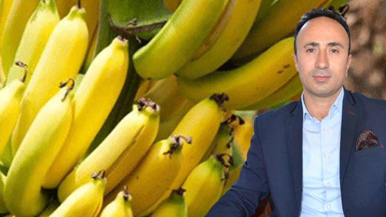 Muz’un merkezi Aksu olacak!