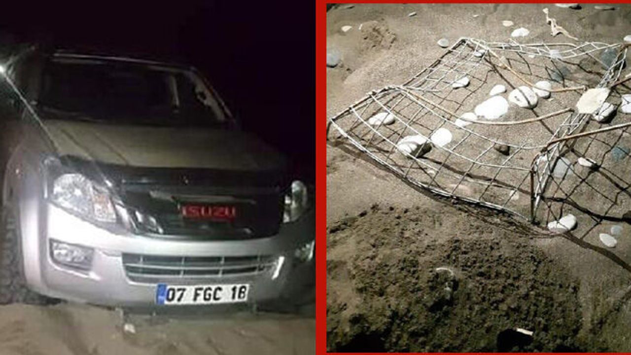 Sahilde drift yaptı, 10 caretta yuvasına zarar verdi