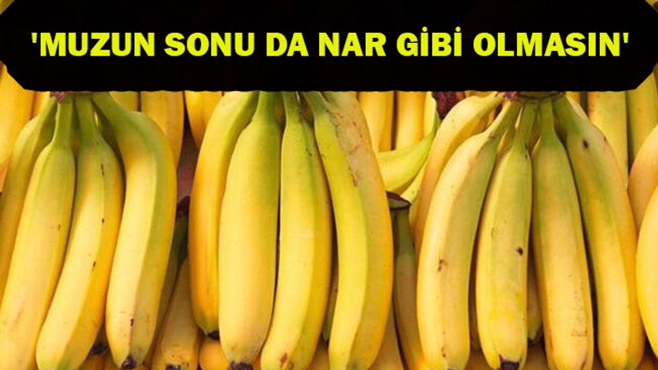 Muz için 'bilinçli üretim' uyarısı