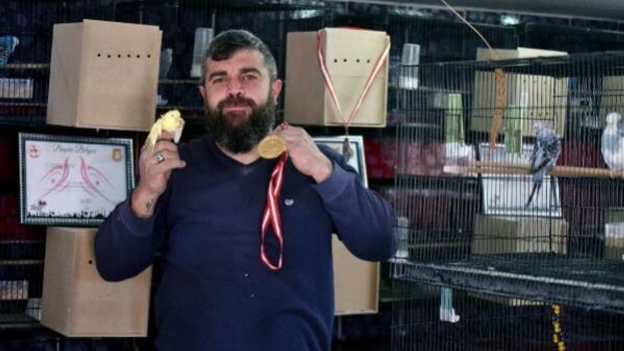 Evinde 200 muhabbet kuşu besliyor
