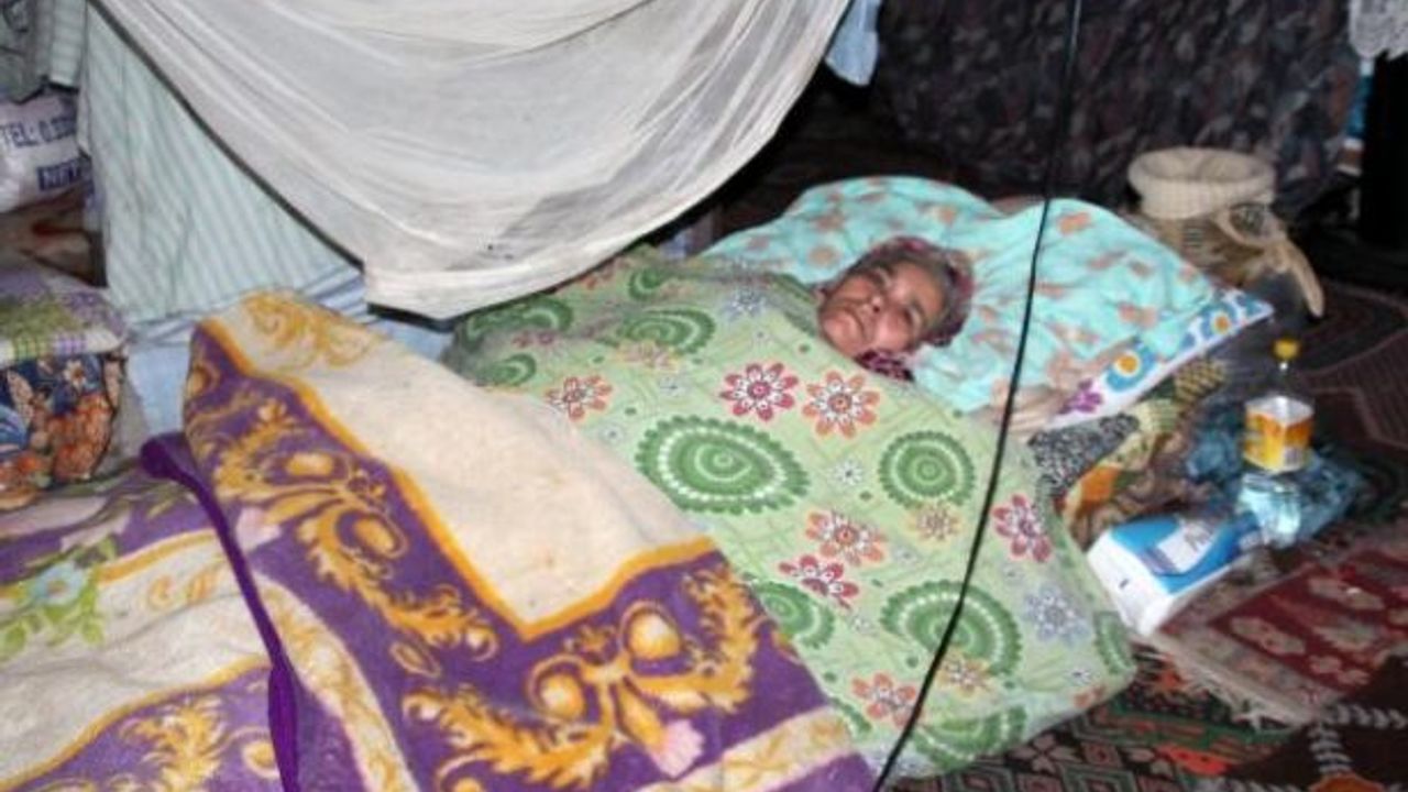 Felçli kadın ağıldan bozma barakada yaşamaya çalışıyor