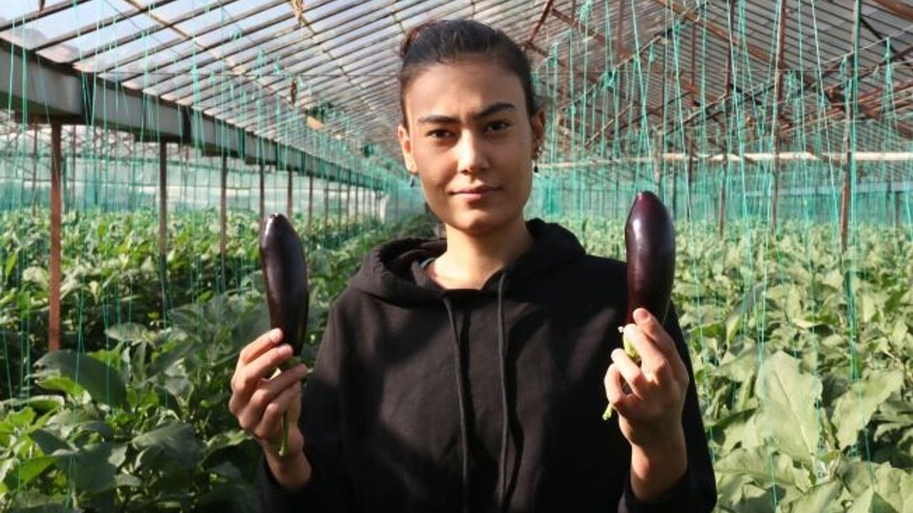 Halde 12, pazarda 15 TL olan patlıcan, Tarım Kredi Kooperatifi marketinde 19,90 TL