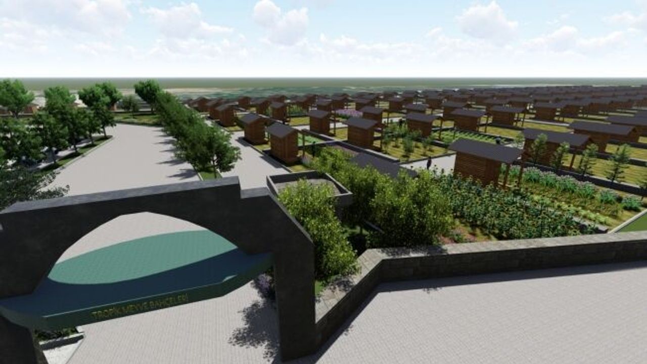 Alanya’da Tropik Meyve Tanıtım Merkezi kuruluyor