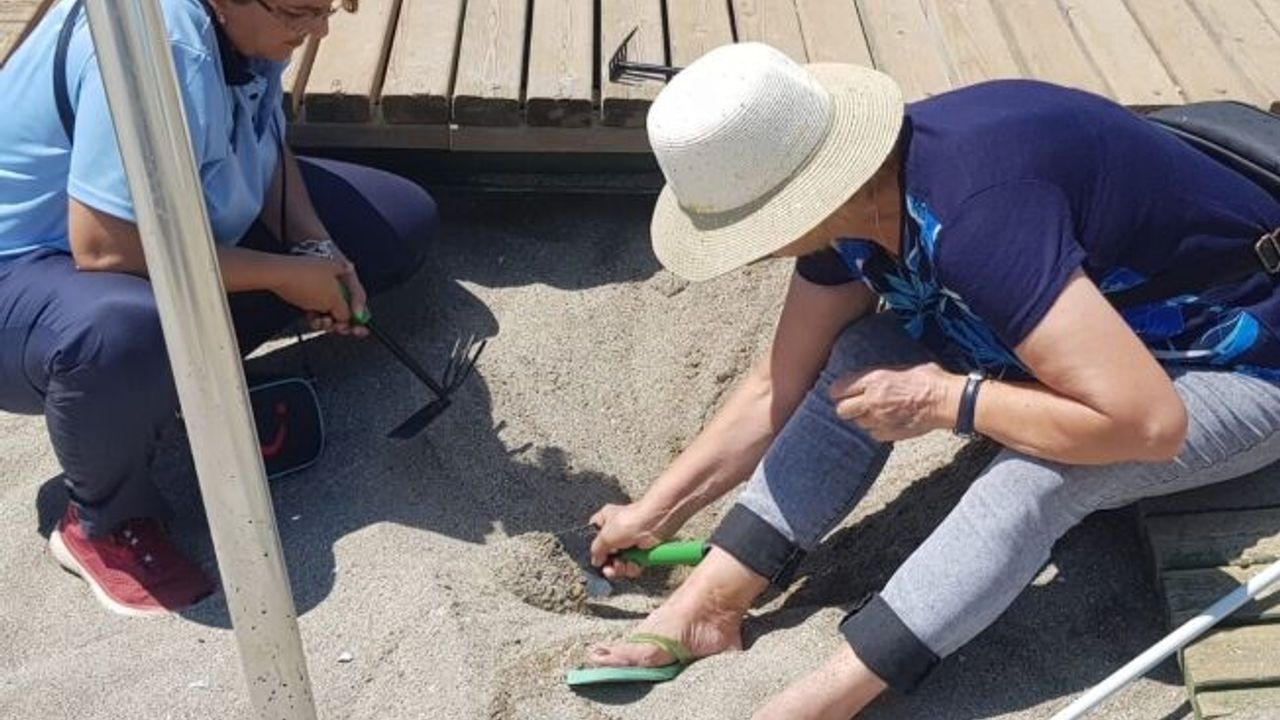 Alanya'da yuvadan çıkamayan caretta carettalar için seferberlik