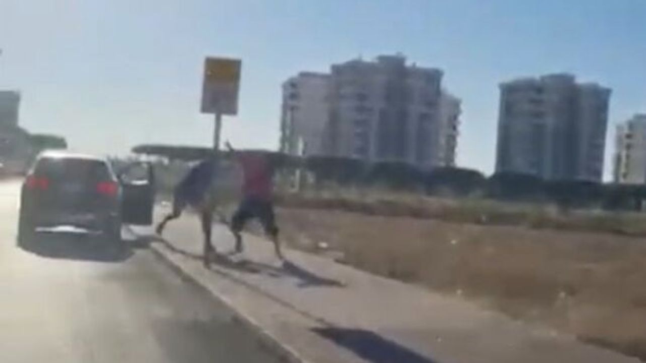 Survivor Hikmet, başcazgırı sokak ortasında sopayla darp etti