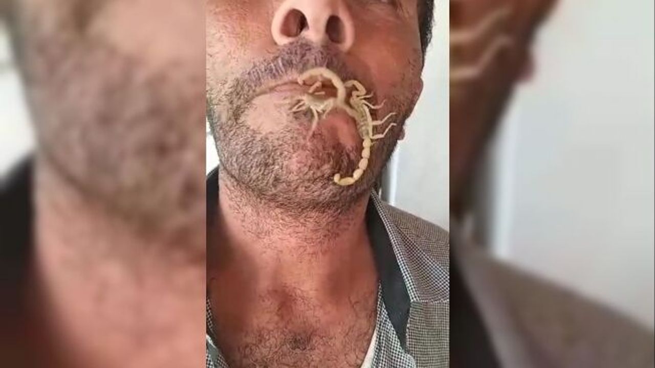 Akreplere kendini sokturdu, ‘Hayvan sevgisi’ dedi