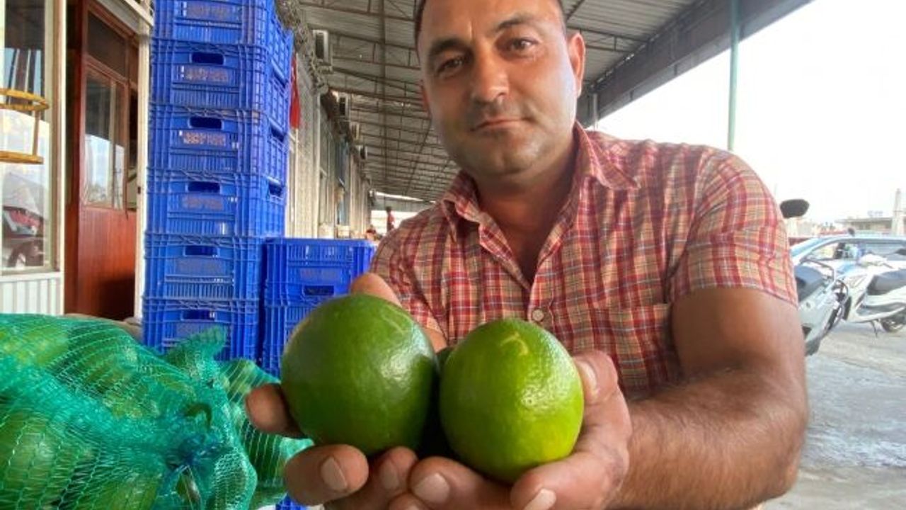 Antalya’da halde limon 3 TL’ye kadar düştü