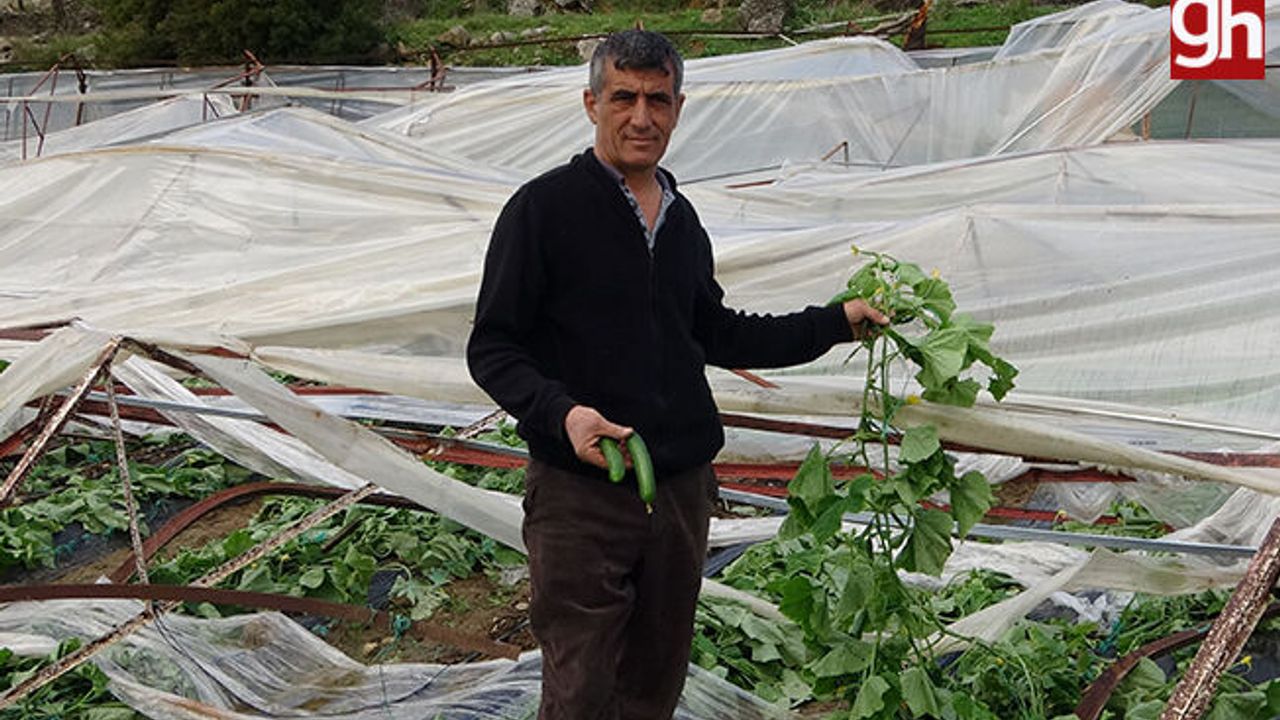 Alanya'da hortum 250 dönümden fazla seraya zarar verdi