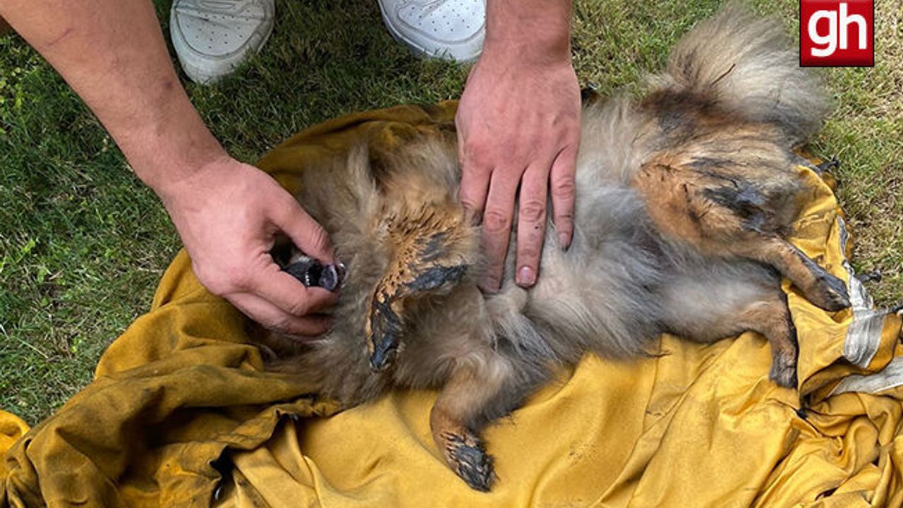 Kendi oksijen maskelerini verip kalp masajı yaptılar