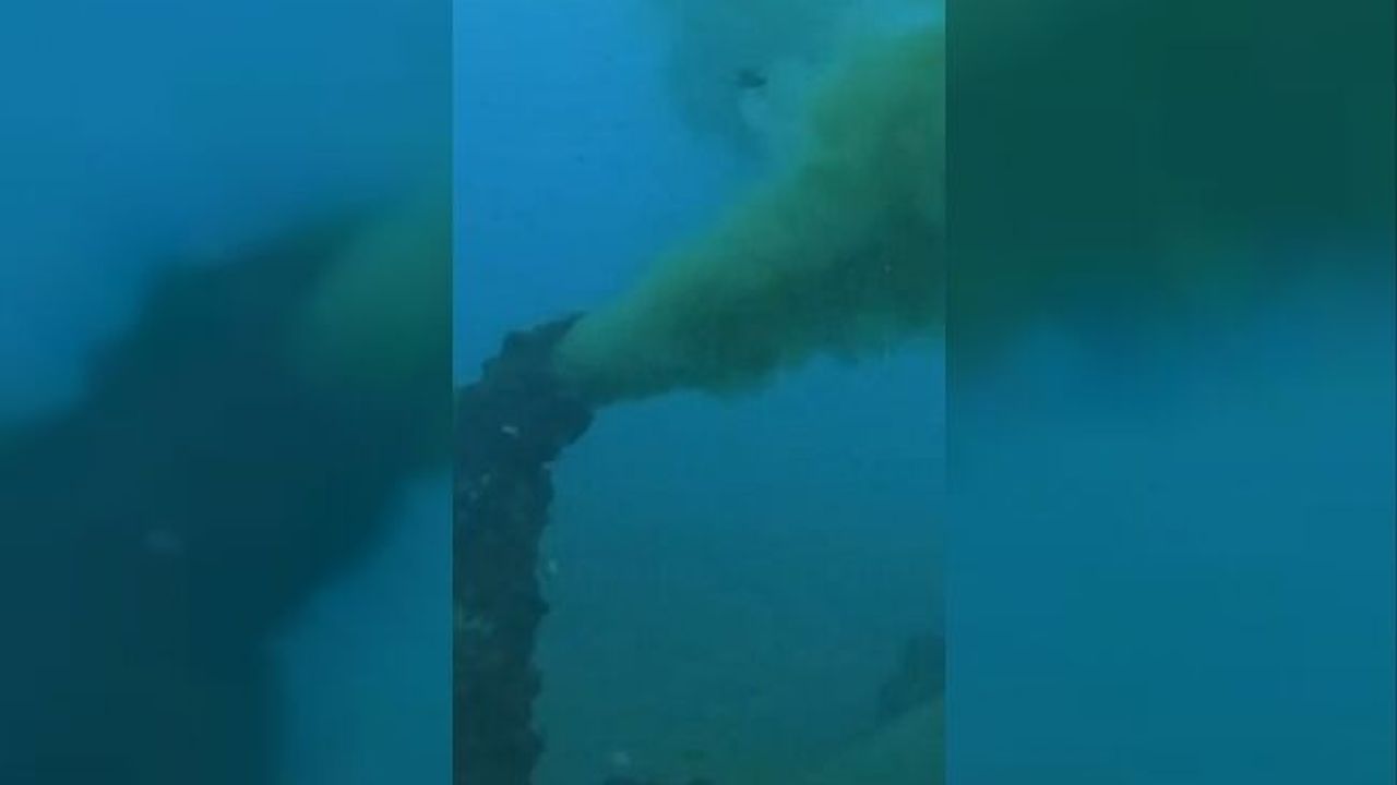 Deniz kirliliğine neden olan belediyeye yarım milyon liraya yakın ceza