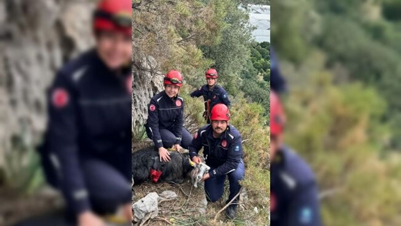 300 metrede 3 gündür mahsur kalmıştı... Operasyonla kurtarıldı!
