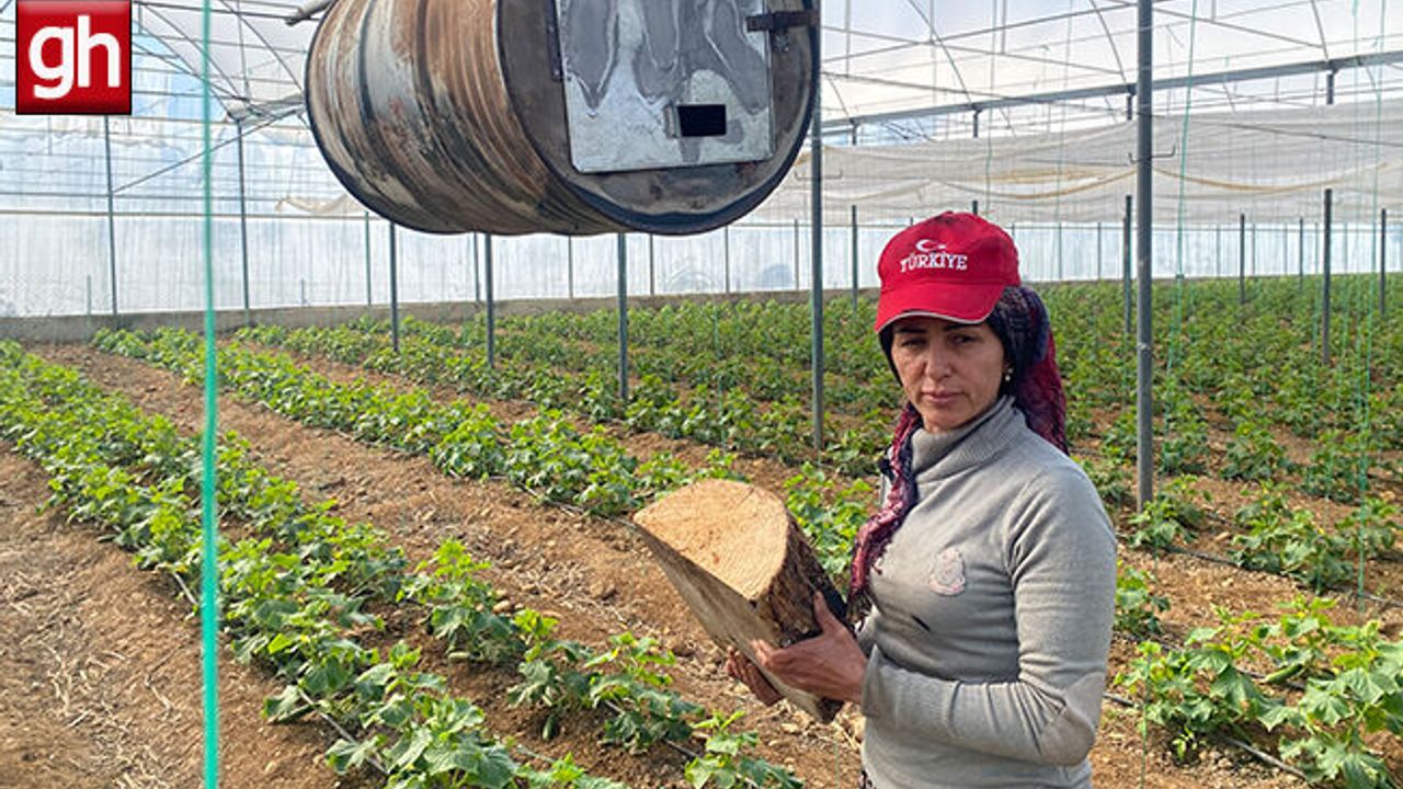 Aksu'da kadın üreticilerin meşakkatli zirai don nöbeti
