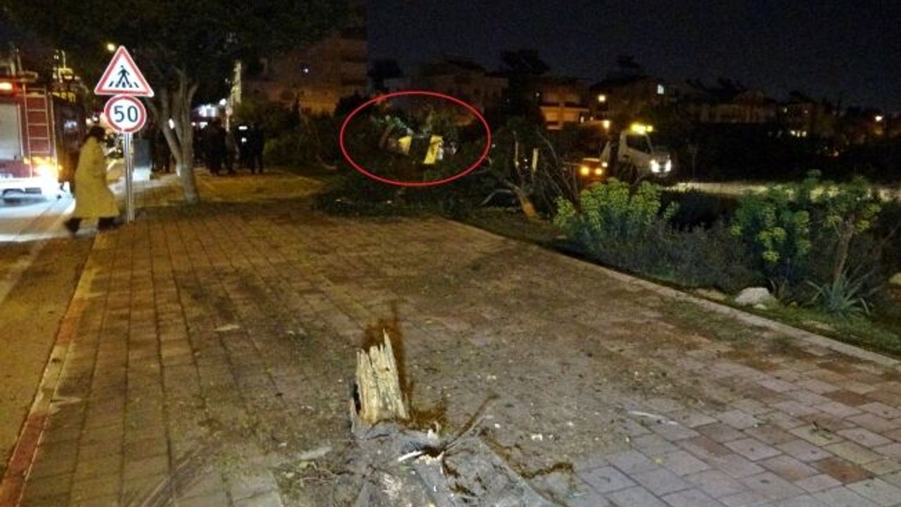 Otomobil kaldırıma çarpıp bahçeye uçtu!