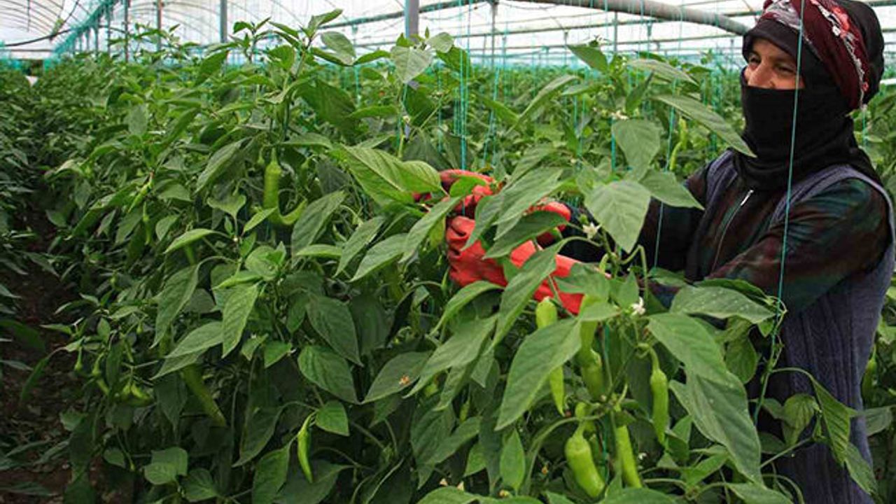 ATB'den tarım sigortası çağrısı