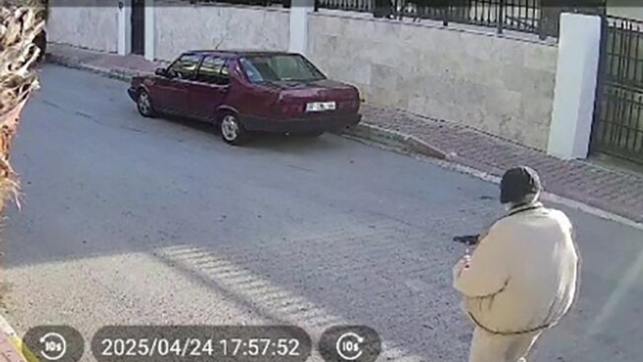 Yaşlı adam kendisine saldıran köpeği vurdu