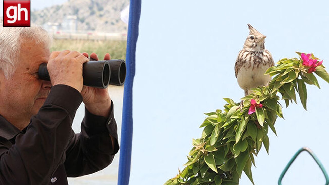 Boğaçayı'nda 220 kuş türü gözlemlendi