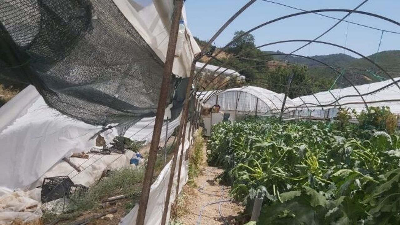 Kumluca'da aniden başlayan hortum seralara zarar verdi