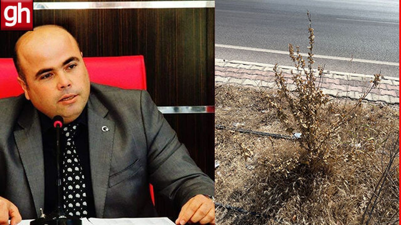 Aksu Kent Konseyi ve Üreticiler Birliği’nden Çağrı!