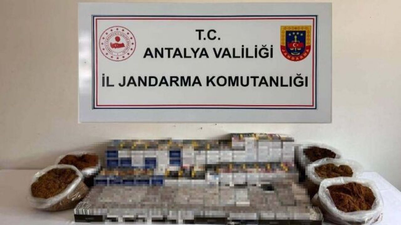 Alanya'da kaçak tütün operasyonunda 40 bin makaron ele geçirildi