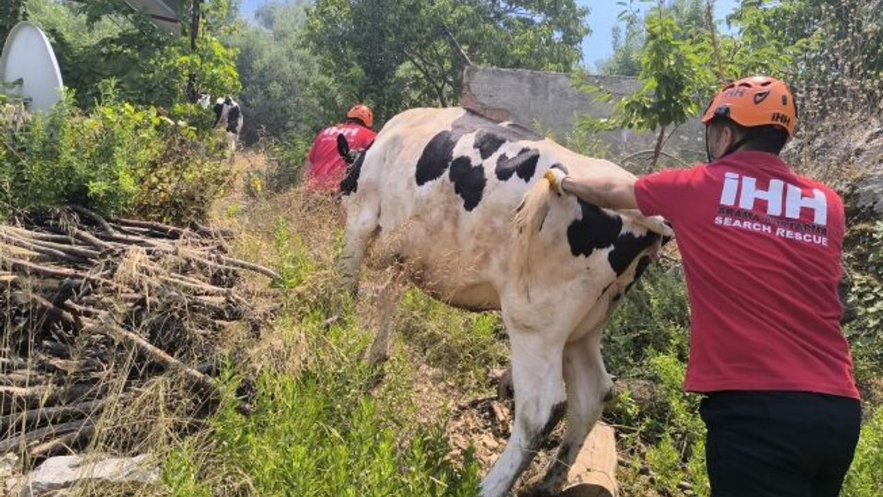  Antalya'da yerleşim yerlerini tehdit eden orman yangınında bazı evler tahliye edildi
