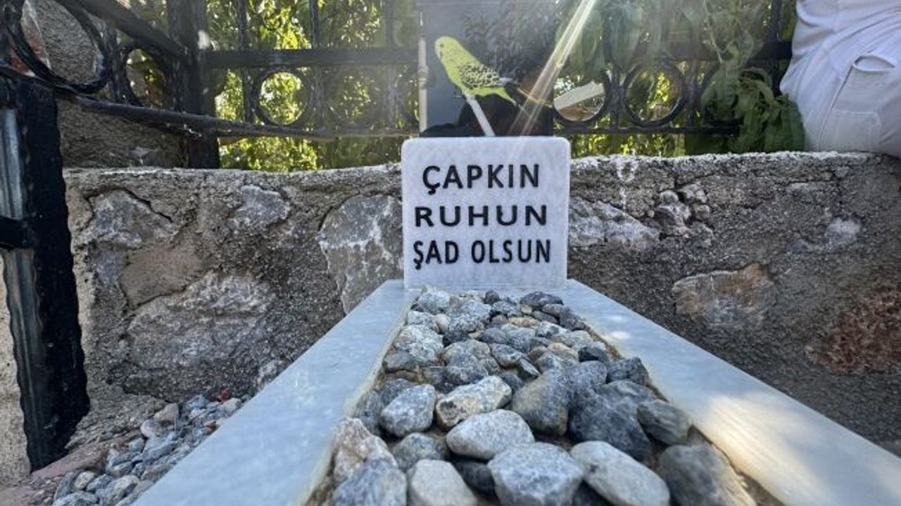 Ölen muhabbet kuşu için mermerden mezar yapıp gömdüler!