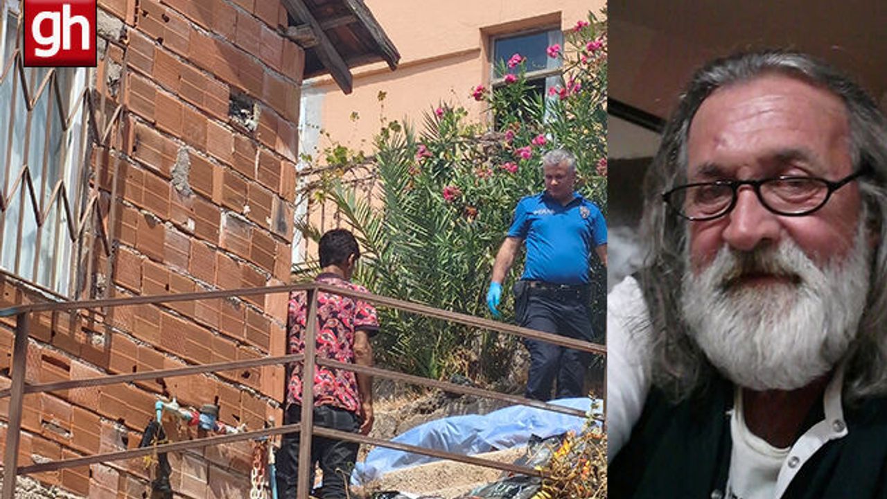Gürültüyü devrilen kedi köpek maması zannettiler, gerçek sabah ortaya çıktı!