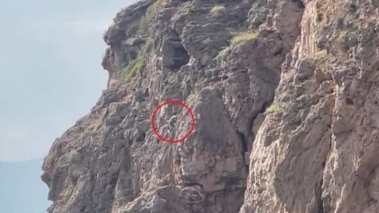  Herkes falezlerde mahsur kaldığını düşünürken gerçek apayrı çıktı