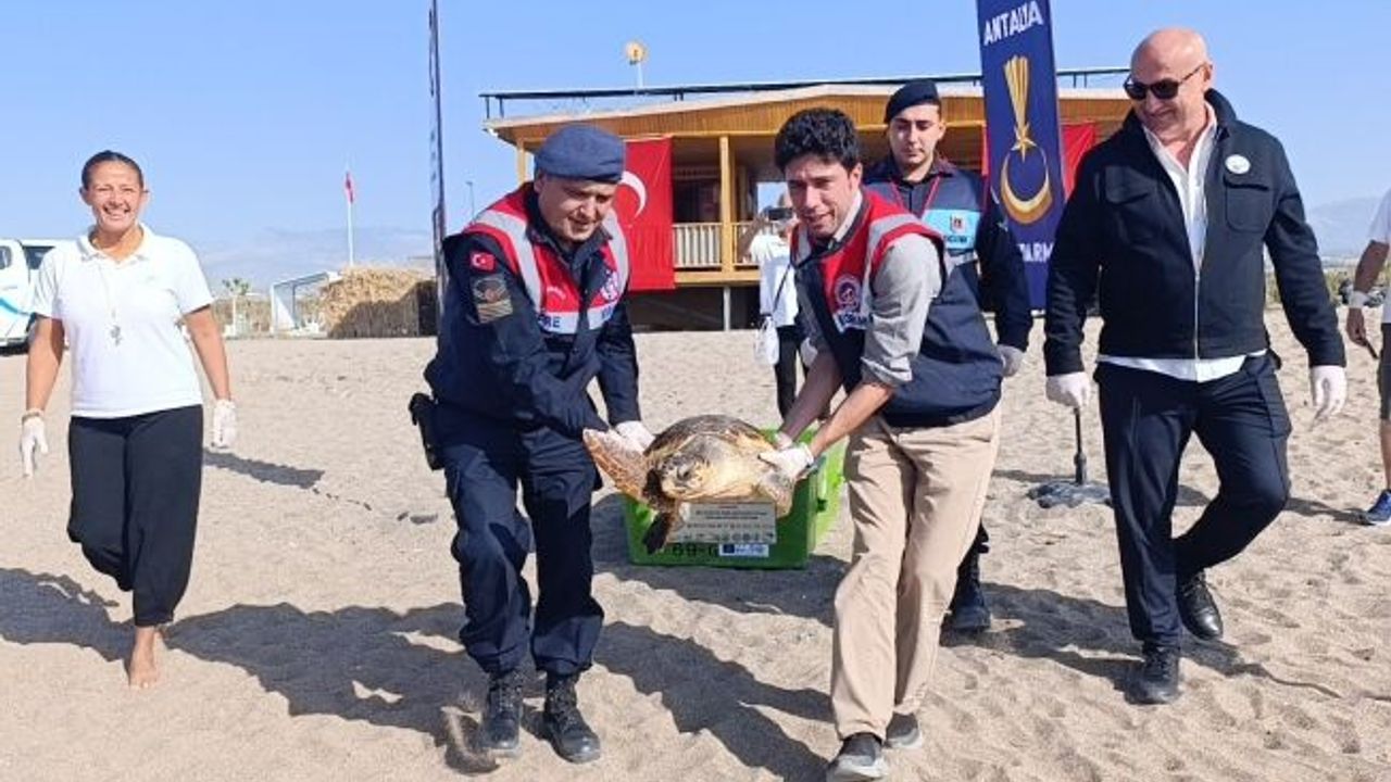 Tedavisi tamamlanan caretta caretta denizin maviliğine kulaç açtı