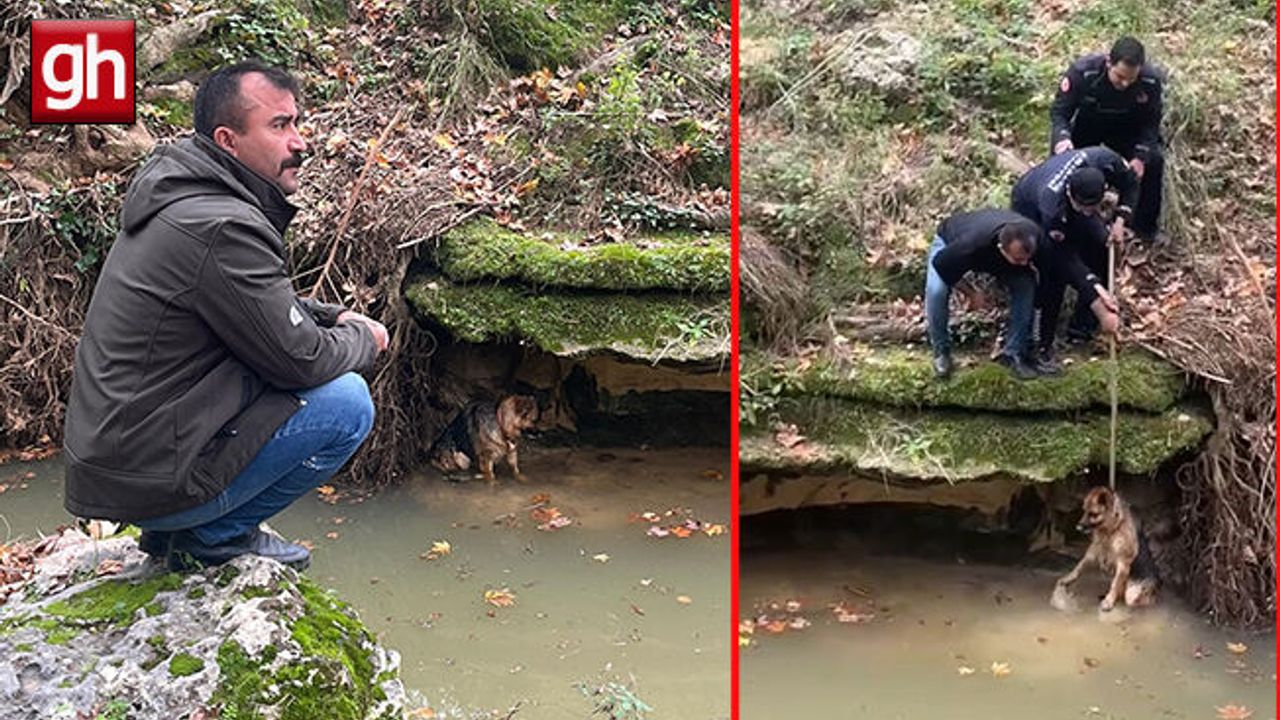  Aksu'da dereye düşen köpek duyarlı vatandaş sayesinde kurtarıldı