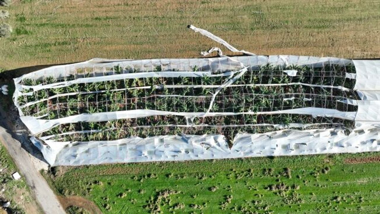 Antalya'da hortumun seralara verdiği zararın boyutu gün yüzüne çıktı