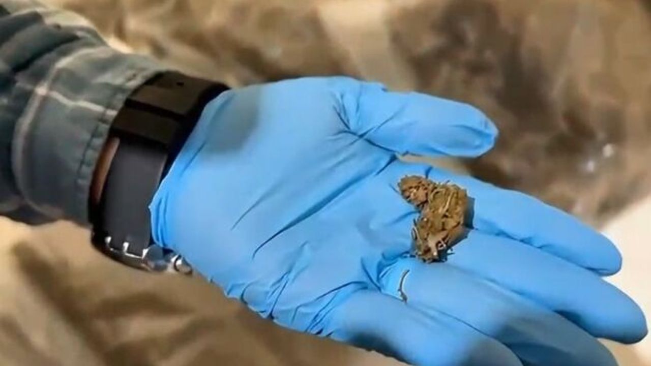 Antalya'da narkotik operasyonunda yüklü miktarda uyuşturucu ele geçirildi: 4 tutuklama