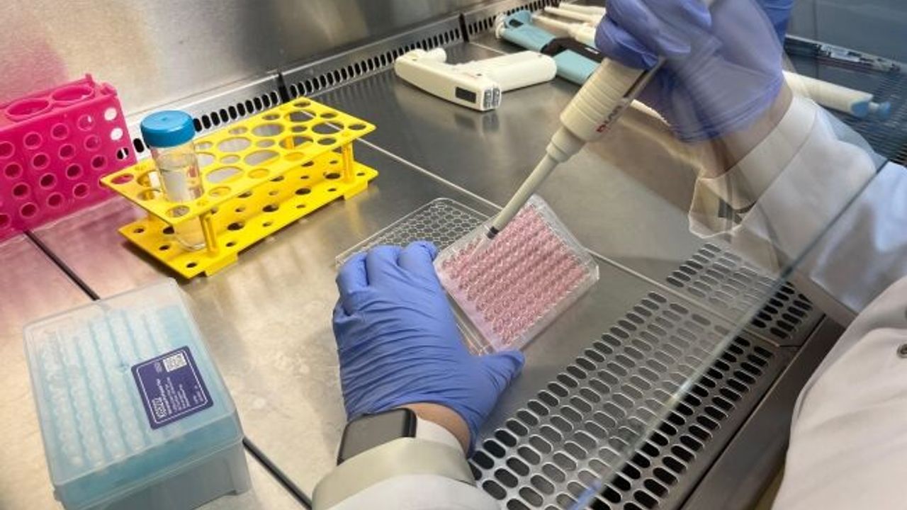 Parkinson’da bağırsak- beyin iletişimi çip üstü organ teknolojisiyle araştırılıyor