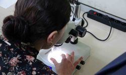 Prof. Dr. İsmail Gömceli: "Kolorektal kanser gençleri de tehdit ediyor"