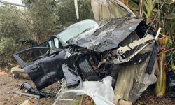 Lüks otomobil seraya daldı!