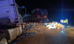 Zirai gübre yüklü tır devrildi!