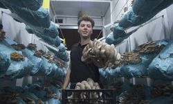 Aksu'da mesleği avukatlık olan 26 yaşındaki girişimci, mantar yetiştiriciliğini dev tesise çevirdi, hedefi mantar köyü