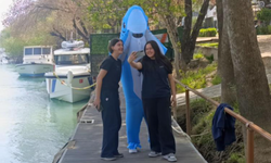 Köpek balığı kostümüyle sokaklarda