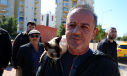 Alev topuna dönen araçtan kedisiyle birlikte son anda çıktı!