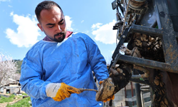 Gündoğmuşlu üreticilerin büyükbaş hayvanlarına destek