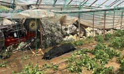 Feci kazada ölen traktör sürücüsü son yolculuğuna uğurlanıyor!