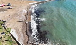 Alanya’da sahildeki siyah tabaka önce tedirgin etti, gerçek sonradan ortaya çıktı