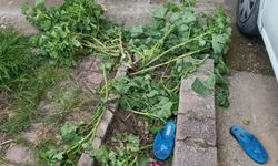 Antalya’da yürekleri ağza getiren olay: Küçük çocuk 2. kattan düştü!