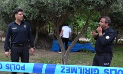 Ağaç altında hareketsiz bulundu: Antalya’da şüpheli ölüm!