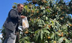 Talep azalınca bedava dağıttı, poşetini alan bahçeye koştu