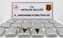 Antalya'da jandarmadan zehirli madde operasyonu!
