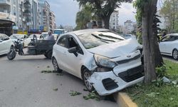 Yaya geçidinden geçen motosiklete çarpmamak için direksiyonu kırınca ağaca çarptı!