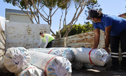 Hortum vurdu, destek geldi! Çiftçiye ücretsiz sera naylonu